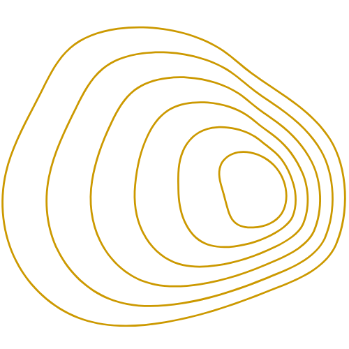 Untitled design (9)